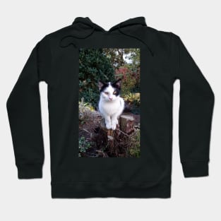 Timmi Hoodie